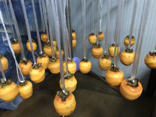 F41a54cccfd147c7b475368a548ebcbe