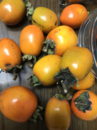 6f65cb76f1a44a1286d9c253aeb5c352