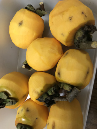 F50019cbdbdb4d3dac05b57807be326f