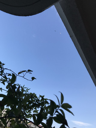 639588727d2846a0a823669a593e4139