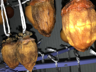 71f6d50331764869af8c055f892c90d7