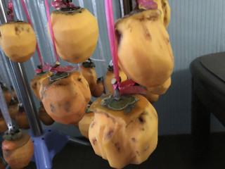 Fc95460f92ea4b23abc3f8fafb544516