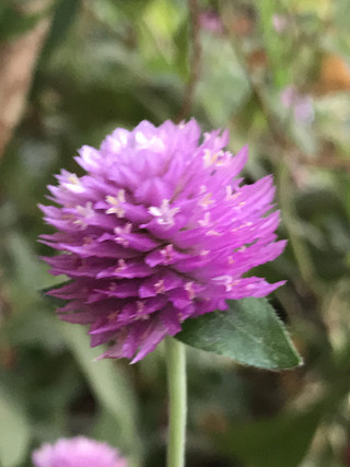 B8ec3ddd6a3c49ce85cbc275b9724f0a