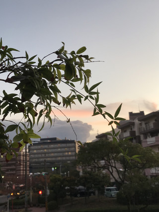 Cef7d353466a4129a353cee8dc7582ed