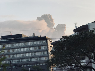 De538fff7c0a421683a51630bb706ffe