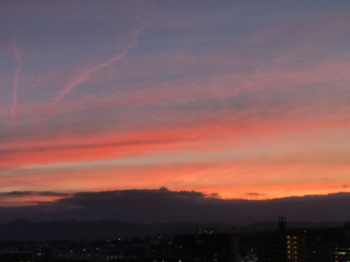 00d04834253a4c20b701eba049d3413d