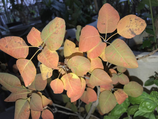 22c6a2cab0194272bac15d79242a3a6d