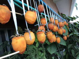 A0e0bf36c87b414288828f9cf6ab499d