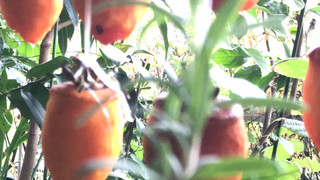 B51b56cbe960434ca7be2b8ef5258dfa