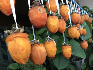 C11976e0639c4e32a6cb7ad5d43276b5