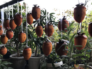 Cb2d7e4385e946fa9a84e4e51c44f955