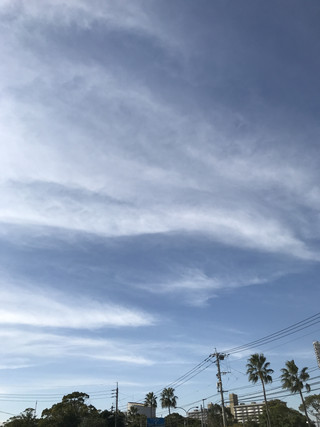 E9c3e9d6481e4963a8b178702338bebc