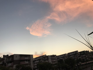 Bc7cef2506c94d13ba62e4b81b3c7759