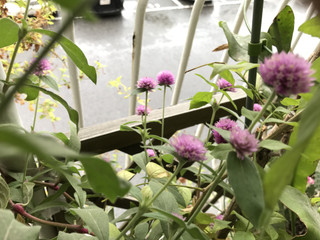 Cac35b060ccf4ceda32215905e855fc4