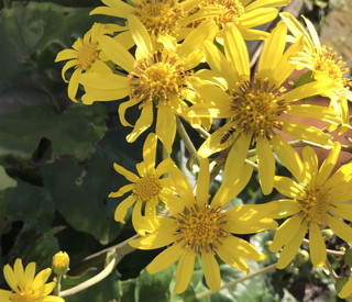 381476b860ca4bf4b5077f6738af47bb