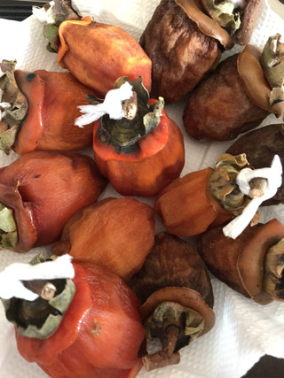 63ca1cae2e054c3ba5f63810f1e034ae