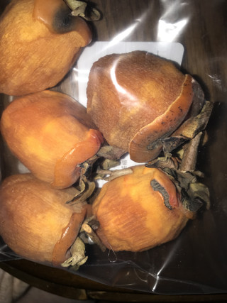 B82d259b2904423481400e8895b15f76