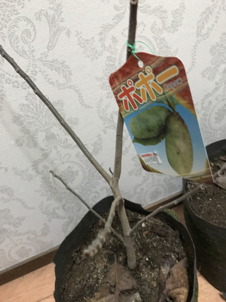 3bc8c5e44c5f45cbbc59ad8ae8dddb76