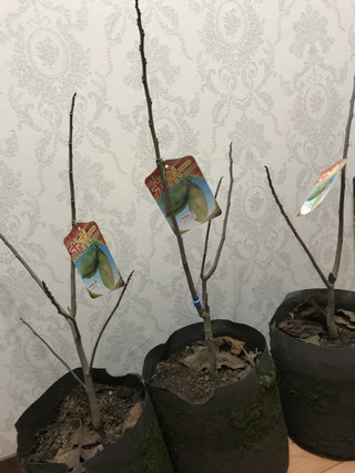 Bd6b82eda1ec45f1b52a9532b1080046