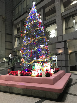 Eac2ac3856f64f8188f7c8c0af262107