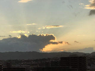 1c57e154acb54d73af902939b5a23401