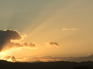 1eb2ec571040434c92cad47daa701352