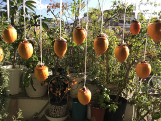 8ecc761c650547658781ca68723bfec6