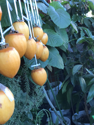 D76d504c30244091887a5a271285c854