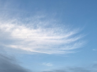 3ac447b41e1d4b45ae9a200d7c734137