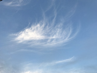 B99298724b7e4a6f99bc9a2b72f75a3c