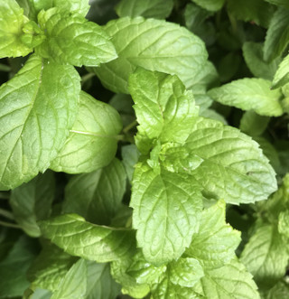 Cd584f7a894441dbbd126986e47a6083