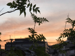 17bf4936754f433680628591bbb32773