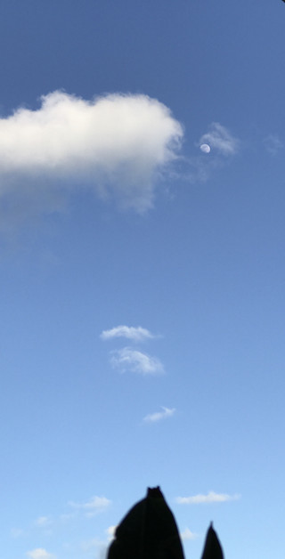 2dabbda1f9144d7cb4e27477045182a7