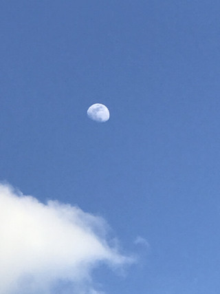 3ea93abae6294e799a7bde711c87c17d