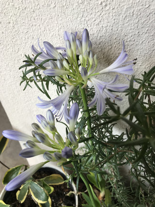 97a04c461c484c21afff4d5c5459b2f5