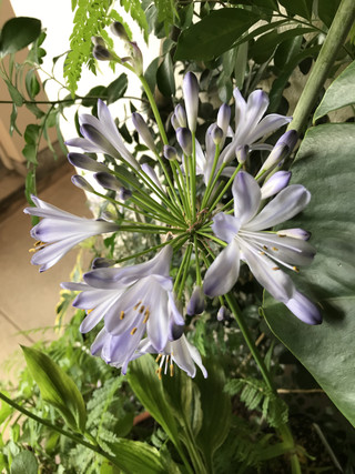 A4bfb81c067a49cf864d6bb9d0264f1c