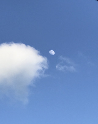 Afab8778561446039b23fa542942ba4d