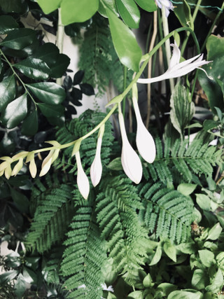 B9ea51e2ebe54517b748635b7cdd66a4