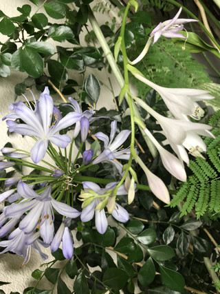 0102060d56154ba1b4a3b3187feae372