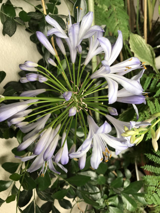 5e269fbd55ac4e9fbd377e222b34964a