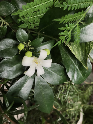 4d02c3829cba48f287aadf81a03f4970