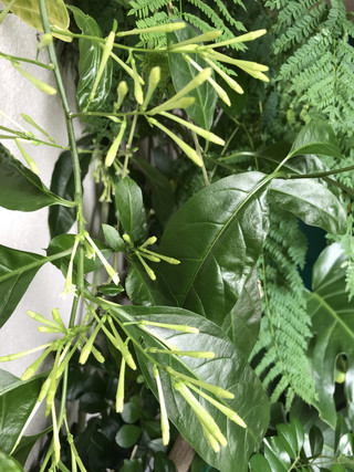 B2ec775cf7544644bcff25177d300b06