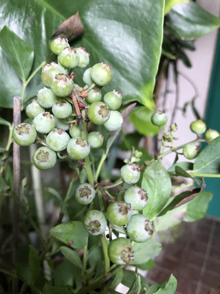 D24b57d722744e6392167d3cdbe057c5