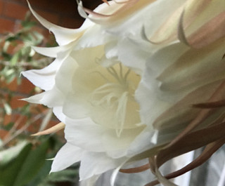 11a4041ee3d046c28e7d46ad3b51e55d