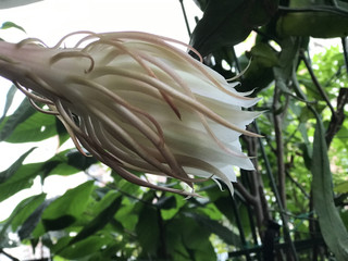 9727c9e0eddc419da3ba09d08bfbb42f