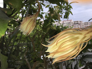 F79db73511b54f84a9d39a10a3fc58db