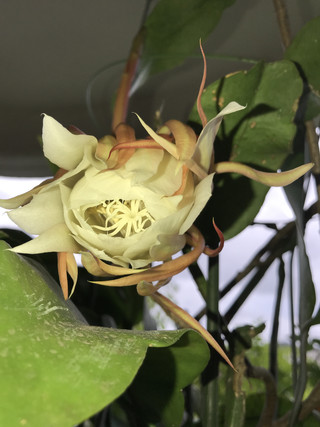 015eb8476ba34a34b453b959f259f1d4