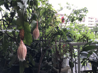 1205ca71003c44dea2249207f7975f92