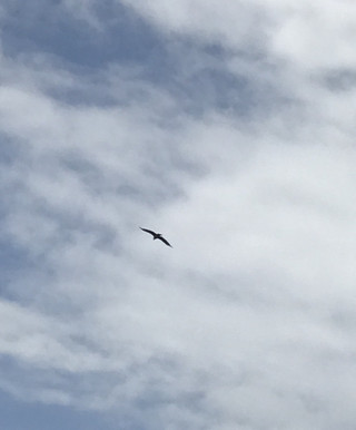 70e0c60a417e4b7080725fbb2111da30