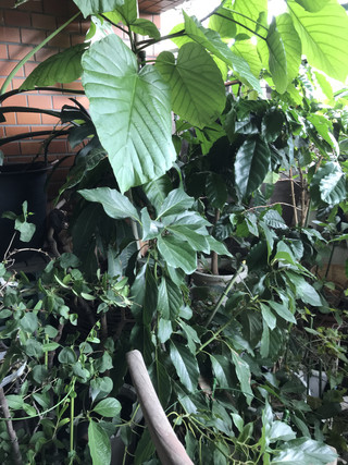 78d6606bd9aa4f45ad99ad8262ed17f2